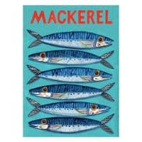 Mackerel – A3 print