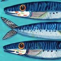 Mackerel – A3 print