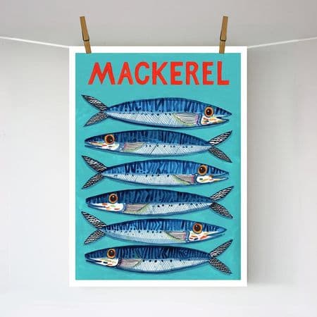 Mackerel – A3 print