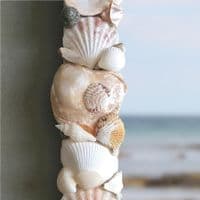 Maldives Beach Seashell Wall Mirror | Shell Mirror