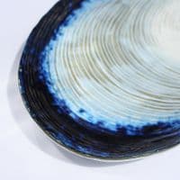 Mussel Shell Shaped Dish/Platter