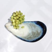 Mussel Shell Shaped Dish/Platter