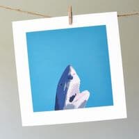 North Laine Shark Coastal Card | Sophie Mutter
