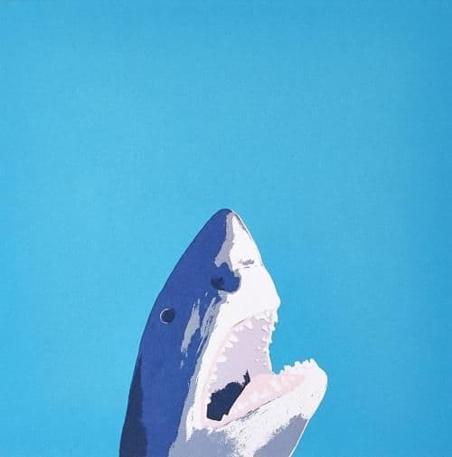North Laine Shark - Coastal Card