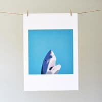 North Laine Shark Print | Giclée Print | Sophie Mutter