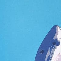 North Laine Shark Print | Giclée Print | Sophie Mutter