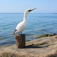 Northern Gannet Wooden Bird Carving | Wooden Gannet | Hand Carved Bird
