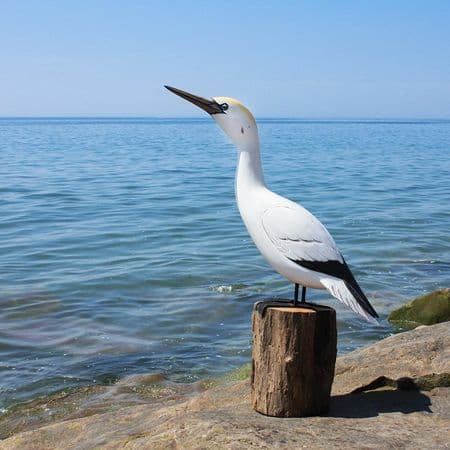 Northern Gannet Wooden Bird Carving