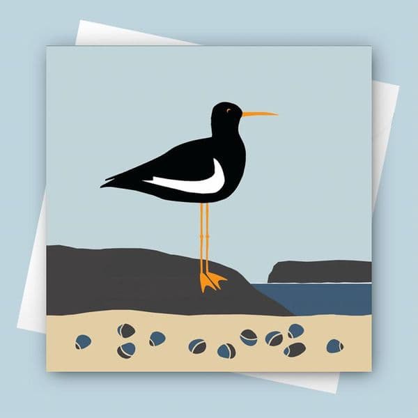 Oyster Catcher Coastal Greeting Card | Jo Thearle