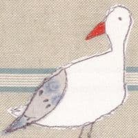 Oystercatcher Coastal Card | Karen Walshe