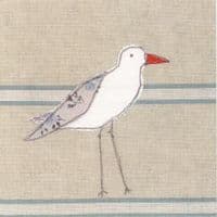 Oystercatcher Coastal Card | Karen Walshe
