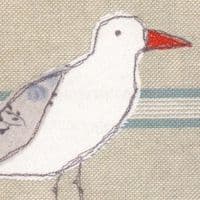 Oystercatcher Coastal Card | Karen Walshe
