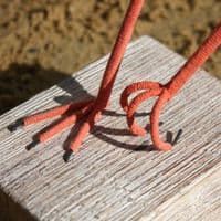 Oystercatcher - Wooden Bird Carving