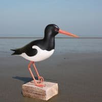 Oystercatcher - Wooden Bird Carving