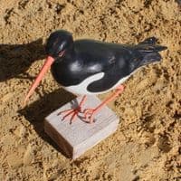 Oystercatcher - Wooden Bird Carving