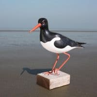 Oystercatcher - Wooden Bird Carving