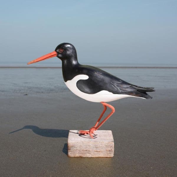Oystercatcher - Wooden Bird Carving