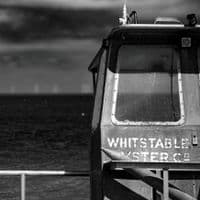 Oysters  Photography Print | Black & White Art Print | Cliff Kinch