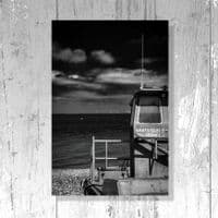 Oysters  Photography Print | Black & White Art Print | Cliff Kinch