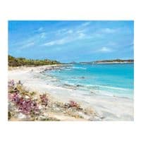 Pink Ragwort at Pentle Bay | Art Print | Gail Morris