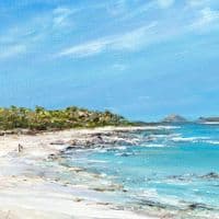 Pink Ragwort at Pentle Bay | Art Print | Gail Morris