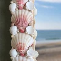 Pink Shell Mirror | Wall Mirror | Seashell Mirror