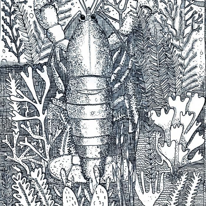 Prawn in Seaweed - Signed Print