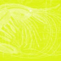 Prawn Signed Print | Fine Art Print | Andrew Ruffhead