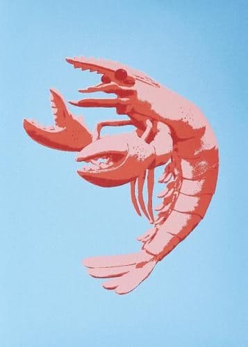 Prawny - Coastal Card