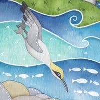 Puffin & Gannet, Isle of May Print | Limited Edition Art Print | Louise Stocker