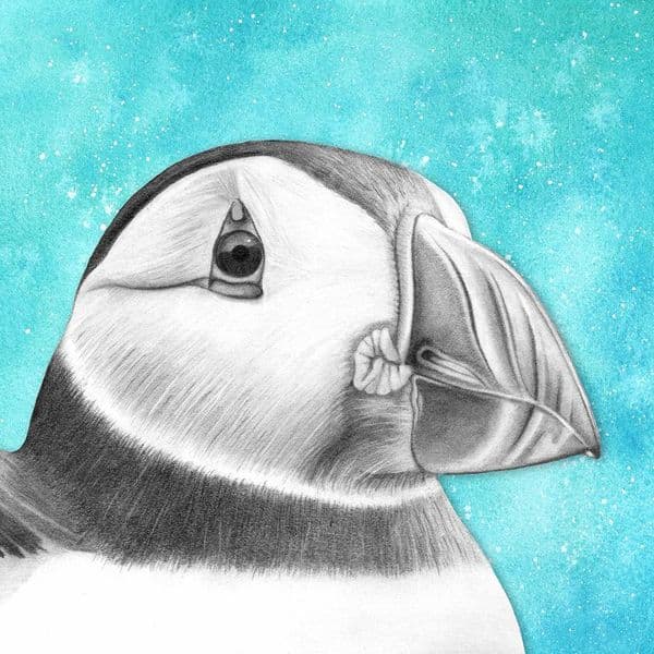 Puffin Print | Art Print | Louise Stocker