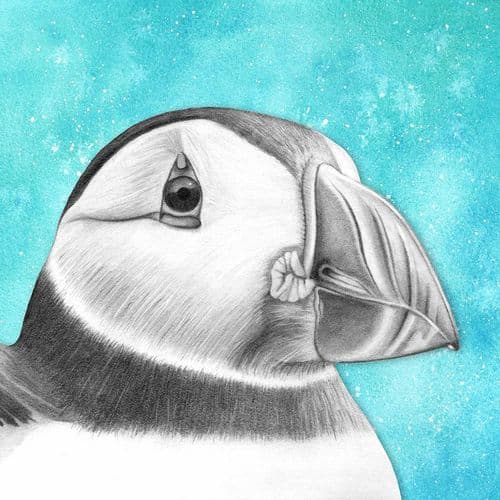 Puffin - Print