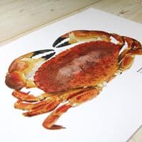 Red Rock Crab Print | Martyn Warren | Cancer Productus