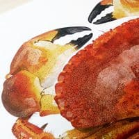 Red Rock Crab Print | Martyn Warren | Cancer Productus