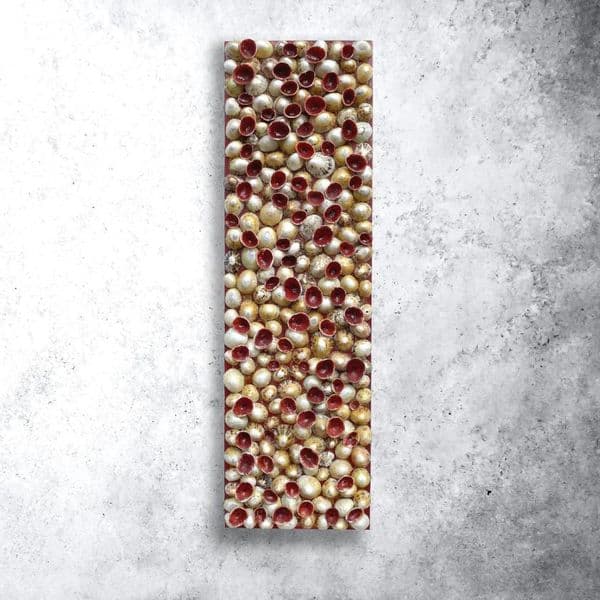 Red Shells on Canvas | Limpet Shell Art Picture | John Black