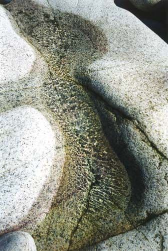 Rock Shape - Coastal Card