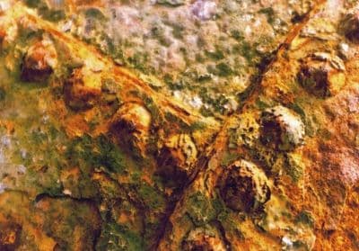 Rusty Rivets - Coastal Card