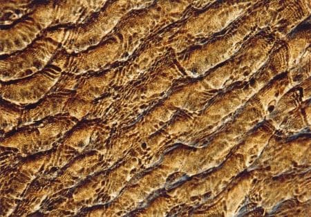 Sand Pattern 5 - Coastal Card