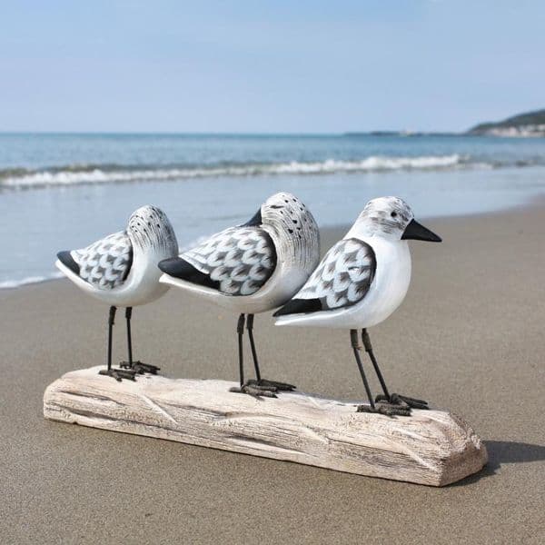 Sanderling Bird Carving | Hand Carved Birds | Wooden Bird Carving