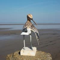 Sandpiper Preening Bird Carving | Wood Carving | Hand Carved Birds