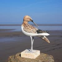Sandpiper Preening Bird Carving | Wood Carving | Hand Carved Birds