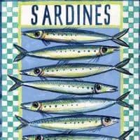 Sardines – A3 Print | Andrew Ruffhead