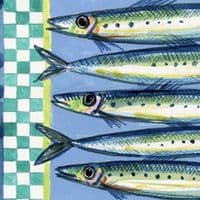 Sardines – A3 Print | Andrew Ruffhead