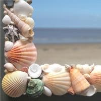 Sea Garden Seashell Mirror | Wall Mirror | Seashell Mirror