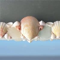 Sea Garden Seashell Mirror | Wall Mirror | Seashell Mirror