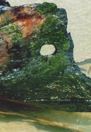 Sea Green - Coastal Card