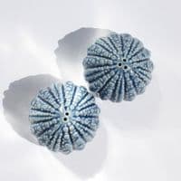 Sea Urchin Salt and Pepper Shakers | Salt and Pepper Set