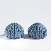 Sea Urchin Salt and Pepper Shakers | Salt and Pepper Set