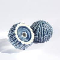 Sea Urchin Salt and Pepper Shakers | Salt and Pepper Set