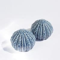 Sea Urchin Salt and Pepper Shakers | Salt and Pepper Set